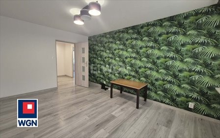 mieszkanie na wynajem 39m2 mieszkanie Mielec, KOCJANA