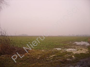 Działka 4,98 ha pod inwestycję w Kłudnie Nowym - polecam działka Kłudno Nowe