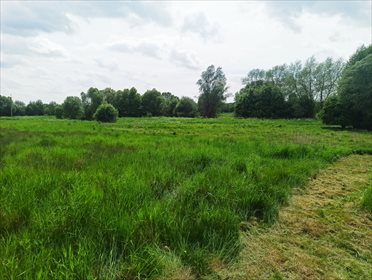 Działka rolna na sprzedaż Nowe Marzy 7 800m2 Foto 4