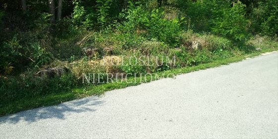 Działka budowlana na sprzedaż Mirosławice 2 000m2 Foto 4