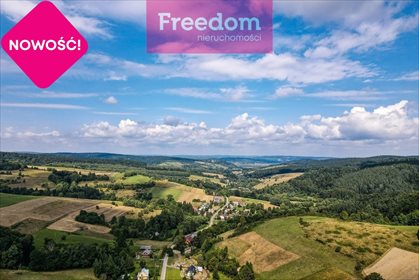 Działka rekreacyjna na sprzedaż Huta Brzuska 6 700m2 Foto 3