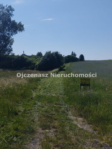 działka na sprzedaż 2330m2 działka Sitno