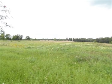 Działka budowlana na sprzedaż Komorowo Żuławskie, Komorowo Żuławskie 2 675m2 Foto 3