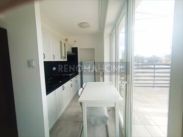 mieszkanie na wynajem 38m2 mieszkanie Lubin