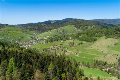 Działka budowlana na sprzedaż Wierchomla Wielka, Piwniczna-Zdrój 50 000m2 Foto 7