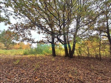 działka na sprzedaż 2000m2 działka Milanówek