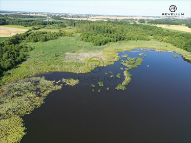 Zapraszam do zakupu działki 23,8 ha pod Ciechocin działka Piastoszyn, Wybudowanie pod Ciechocin