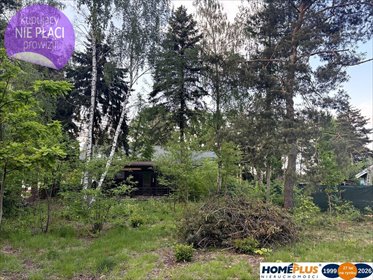 Zapraszam do zakupu działki 800 m² z domkiem w Nowych Załubicach działka Nowe Załubice