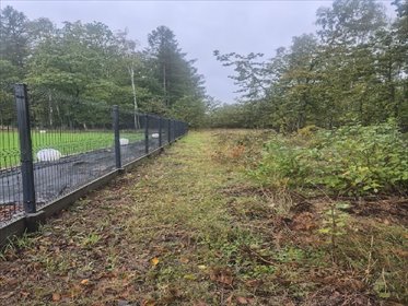 działka na sprzedaż 36340m2 działka Konopiska, ALEKSANDRIA I