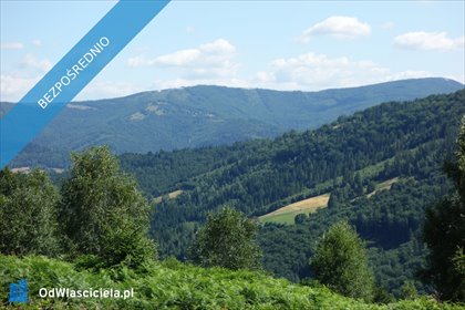 Działka inwestycyjna 25,3 ha w Brennie - polecam! działka Brenna