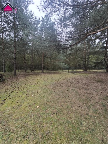 Działka 630 m2 pod dom i rekreację blisko Jeziora Ślesińskiego. działka Ślesin