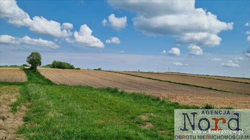 działka na sprzedaż 16150m2 działka Posielanie