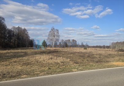 Działka 4328 m² pod zabudowę letniskową i pensjonatową działka Dąbrówka
