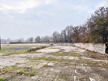 działka na wynajem 10000m2 działka Kąty Wrocławskie, Spółdzielcza