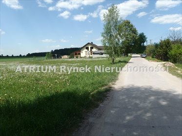 działka na sprzedaż 3500m2 działka Włodzimierzów