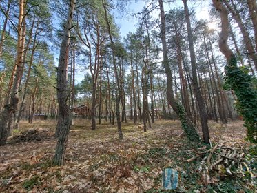 działka na sprzedaż 3151m2 działka Józefów