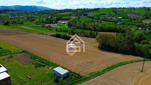 działka na sprzedaż 1500m2 działka Trzciana