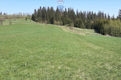 Działka rolna na sprzedaż Pieniążkowice 2 528m2 Foto 2