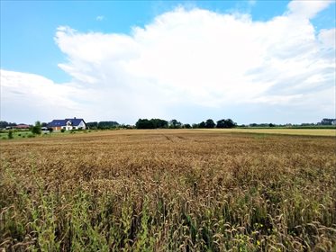 działka na sprzedaż 10950m2 działka Drewnica, Stegna