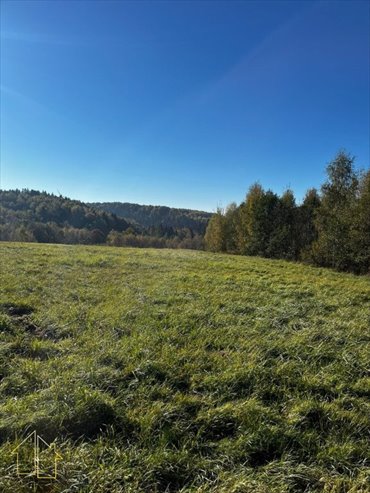 Do sprzedania działka 6447 m² z lasem i dojazdem asfaltowym działka Dynów (gw)