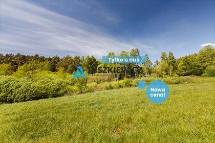 działka na sprzedaż 4500m2 działka Sarnowy