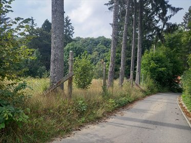 Działka budowlana 952 m² pod dom w spokojnej okolicy nad Jeziorem. działka Lubachów