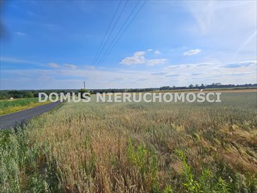 Działka 3000 m² z widokiem na pola i lasy, potencjał! działka Tworzyjanki
