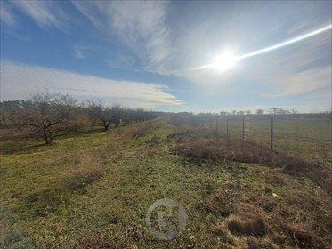 działka na sprzedaż 1200m2 działka Santocko