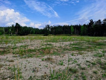 działka na sprzedaż 55000m2 działka Lębork, Kaszubska