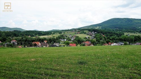 działka na sprzedaż 4000m2 działka Trzemeśnia