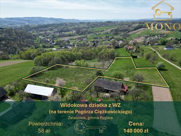 działka na sprzedaż 5800m2 działka Zalasowa