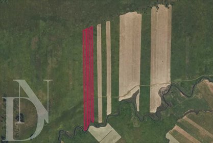 3,03 ha łąk nad rzeką - inwestycja lub relaks. działka Karpowicze