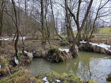 działka na sprzedaż 4400m2 działka Olszyny