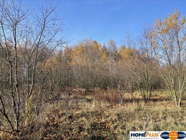 działka na sprzedaż 5428m2 działka Słupno