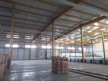 lokal użytkowy na wynajem 4800m2 lokal użytkowy Kacprowice