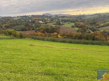 działka na sprzedaż 6000m2 działka Krasne-Lasocice