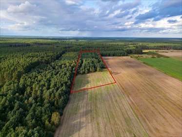 Sprzedam działkę rolną 30 000 m² w Jędrzejewie działka Jędrzejewo