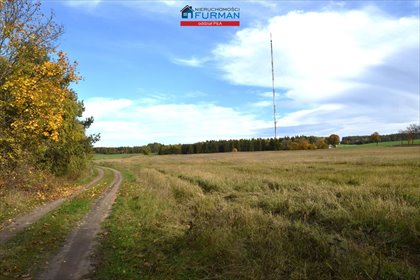 działka na sprzedaż 96206m2 działka Rusinowo