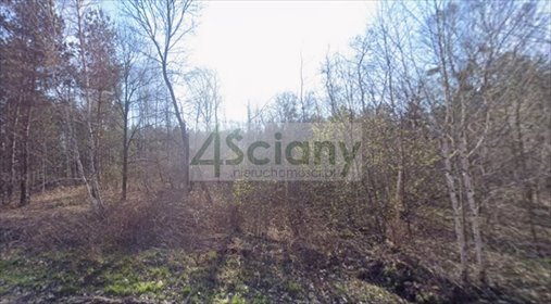 działka na sprzedaż 2776m2 działka Władków