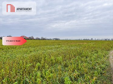 działka na sprzedaż 5515m2 działka Łubianka