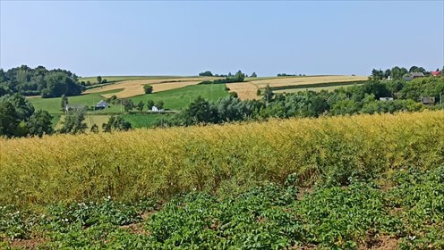 działka na sprzedaż 82000m2 działka Osówka