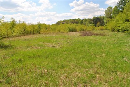 działka na sprzedaż 9600m2 działka Mysłowice, Brzęczkowice