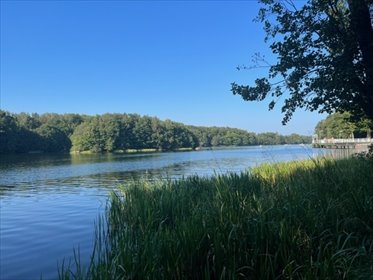 Działka pod dom z garażem w Czapielsku, las i jezioro działka Czapielsk, Lubczykowa