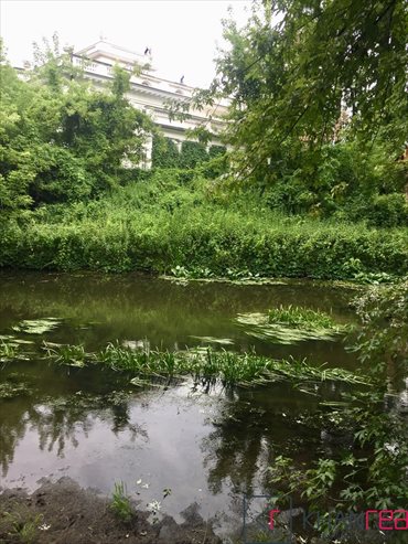 działka na sprzedaż 3344m2 działka Konstancin-Jeziorna