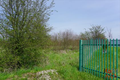 Działka rekreacyjna na sprzedaż Stare Chojno 4 000m2 Foto 4