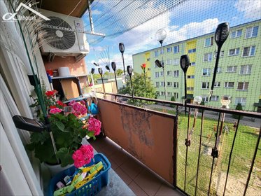 Słoneczne 2-pokojowe mieszkanie z klimatyzacją polecam! mieszkanie Chełm, 11 listopada