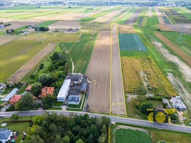 Zapraszam do zakupu działki 11 913 m² w Pogroszewie działka Pogroszew, Nowowiejska