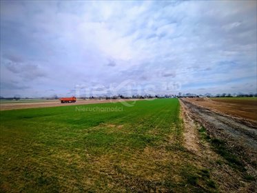 Działka budowlana 977 m² z mediami i warunkami zabudowy działka Świerzna