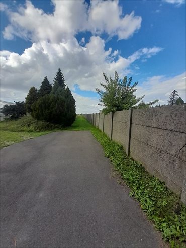 Działka inwestycyjna na sprzedaż Kalisz, Szczypiorno, Wrocławska 35 360m2 Foto 3