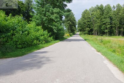 Działka rolna na sprzedaż Radoszyna 31 100m2 Foto 5